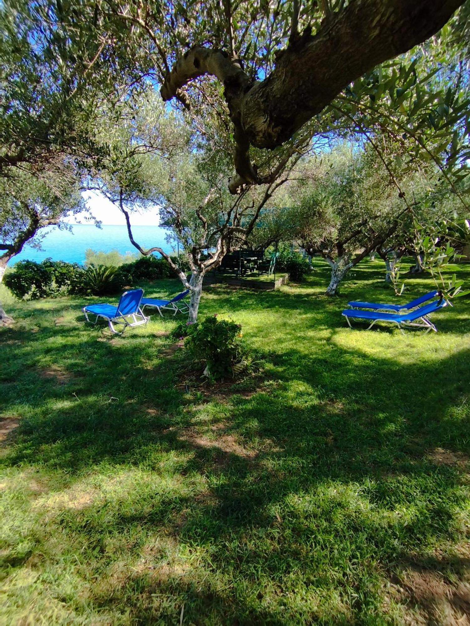 Villa Agia Aikaterini Ammoudi Dış mekan fotoğraf