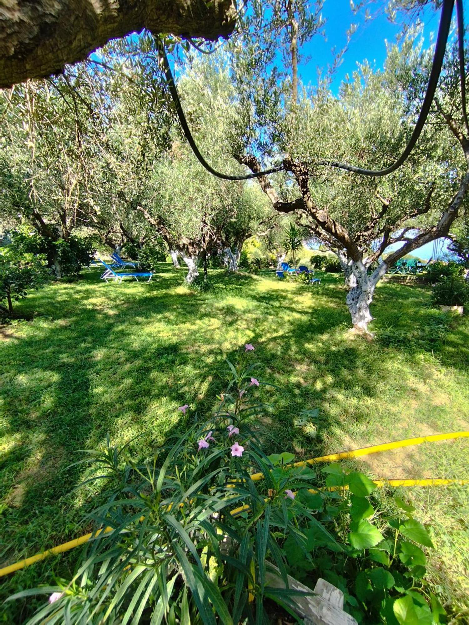 Villa Agia Aikaterini Ammoudi Dış mekan fotoğraf
